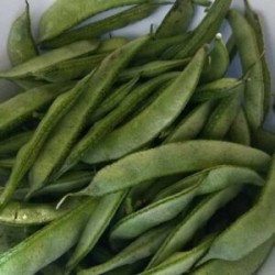 Chikkodikaya - Broad beans 500g Chikkodikaya - Broad beans 500g