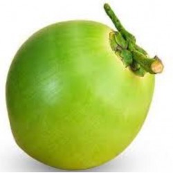 Green coconut