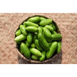 Tindora/Dondakaya - 1kg