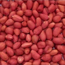 Red skin peanuts 25kg bag